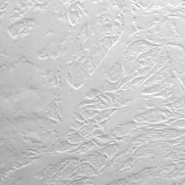 karton-papier-ozdobny-wizytowkowy-bialy-skora-a4-20szt