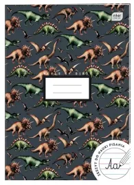 zeszyt-a4-32-kartek-do-nauki-pisania-linia-boys