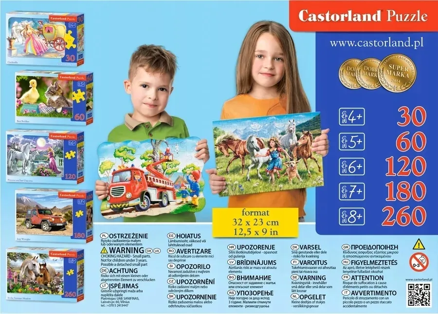 puzzle-120-elementow-dinozaury-castor-4-stan-nowy