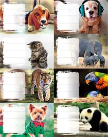 naklejki-na-zeszyt-24-szt-zeszyty-ksiazki-girls