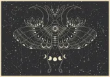 puzzle-500-elementow-galaxy-2-piekne-wzory-kolekcja-galaxy