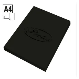 papier-ksero-czarny-protos-a4-80-g-100-arkuszy