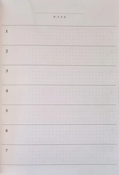 notes-planer-organizer-satin-gold-a5-80-kropki-okladka-twarda
