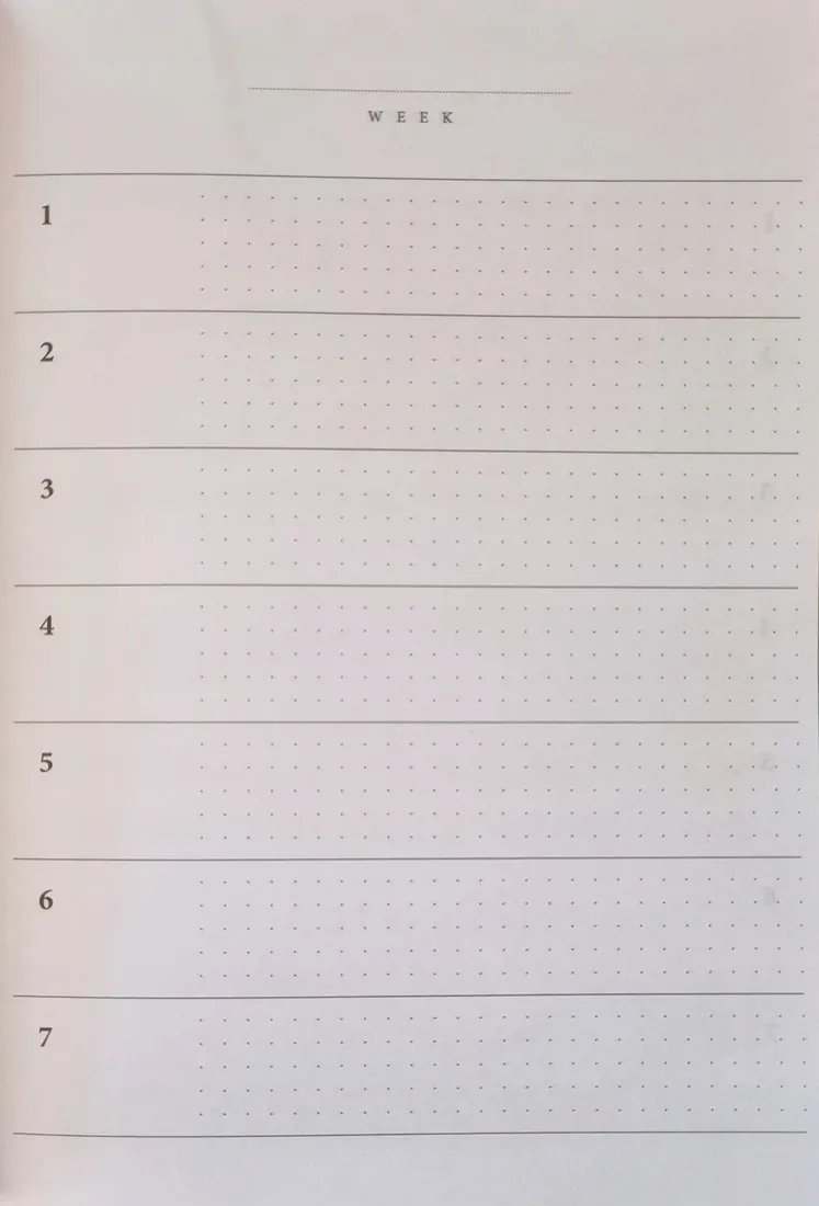 notes-planer-organizer-satin-gold-a5-80-kropki