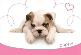 podkladka-mata-na-biurko-ze-wzorami-puppy-47x32