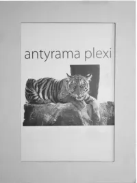 antyrama-plexi-a3-30x40-antyramy-ramka
