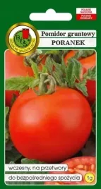 pnos-pomidor-gruntowy-wczesny-na-przetwory-poranek-1g-nasiona