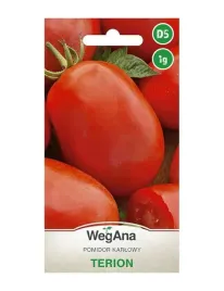 pomidor-terion-1g-wegana-nasiona-karlowy-srednio-wczesny