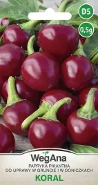 papryka-koral-nasiona-ostra-s-wczesna-nasiona