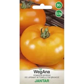 wegana-pomidor-wielkoowocowy-jantar-05g-nasiona