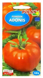 pomidor-adonis-05g-polan-wczesny-malinowy-duze-owoce