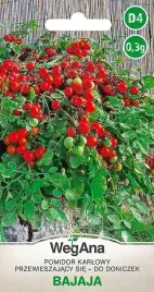 pomidor-bajaja-03g-nasiona-uprawa-grunt-i-donica-nasiona
