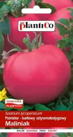 pomidor-karlowy-maliniak-samokonczacy-nasiona-sztywnolodygowy-05g