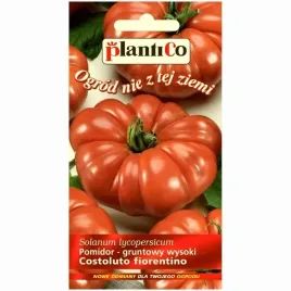 pomidor-wloski-costoluto-fiorentino-nasiona-02g-plantico