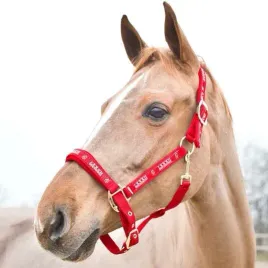 kantar-nylonowy-dla-konia-horze-hampton-podszywany-neoprenem