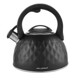 cichy-czajnik-25-l-czarny-stal-nierdzewna-gaz-indukcja