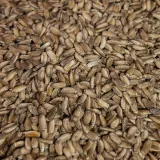 your-taste-ostropest-plamisty-500g-postac-luskane