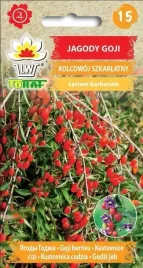 nasiona-jagody-goji-01g-toraf