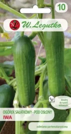 ogorek-pod-oslony-iwa-zielony-1g-nasiona-salatkowy-wczesny-dlugi
