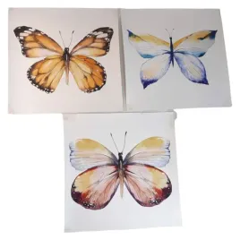 plakat-obrazek-motyl-zestaw-3-sztuk