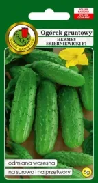 pnos-ogorek-gruntowy-hermes-skierniewicki-5g-nasiona