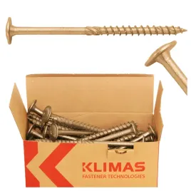 wkrety-ciesielskie-do-drewna-10x140-talerzowe-torx-25szt-wkcp-10140-klimas