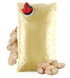 sok-z-imbiru-100percent-tlocznia-szymanowice-2l-nfc-tloczony-sok-z-imbiru