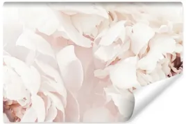 fototapeta-do-sypialni-pastelowe-piwonie-peonie-kwiaty-natura-450x300
