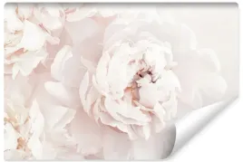 fototapeta-do-sypialni-kwiaty-piwonie-peonie-natura-400x280
