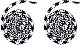 melanz-czarne-biale-sznurowadla-outdoor-hiking-trekking-sznurowki-hq-160-cm