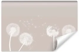 fototapeta-do-sypialni-dmuchawce-nasiona-kwiaty-styl-boho-natura-450x300