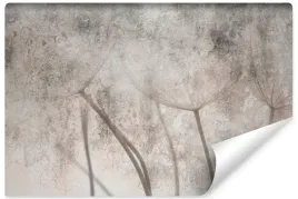 fototapeta-do-salonu-dmuchawce-nasiona-beton-abstrakcja-mural-450x300
