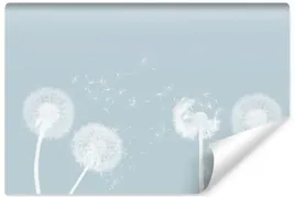 fototapeta-scienna-kwiaty-dmuchawce-natura-styl-boho-rosliny-450x300