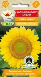 nasiona-slonecznik-ozdobny-karlowy-green-hobbit-1g-toraf