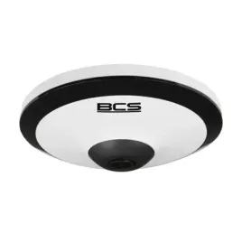 bcs-l-fip25fsr1-ai2