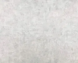 tapeta-winylowa-na-flizelinie-szary-tynk-beton-mat