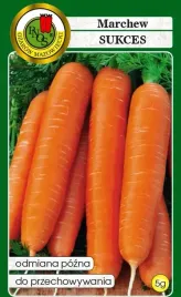 marchew-sukces-pozna-bardzo-smaczna-nasiona-5g-bionasiona