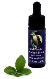 fes-california-pitcher-plant-75-ml-krople