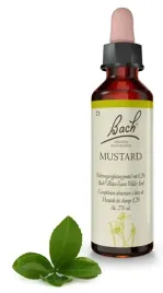 21-mustard-gorczyca-polna-20-ml-nelson-bach