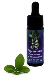 fes-peppermint-75-ml-krople