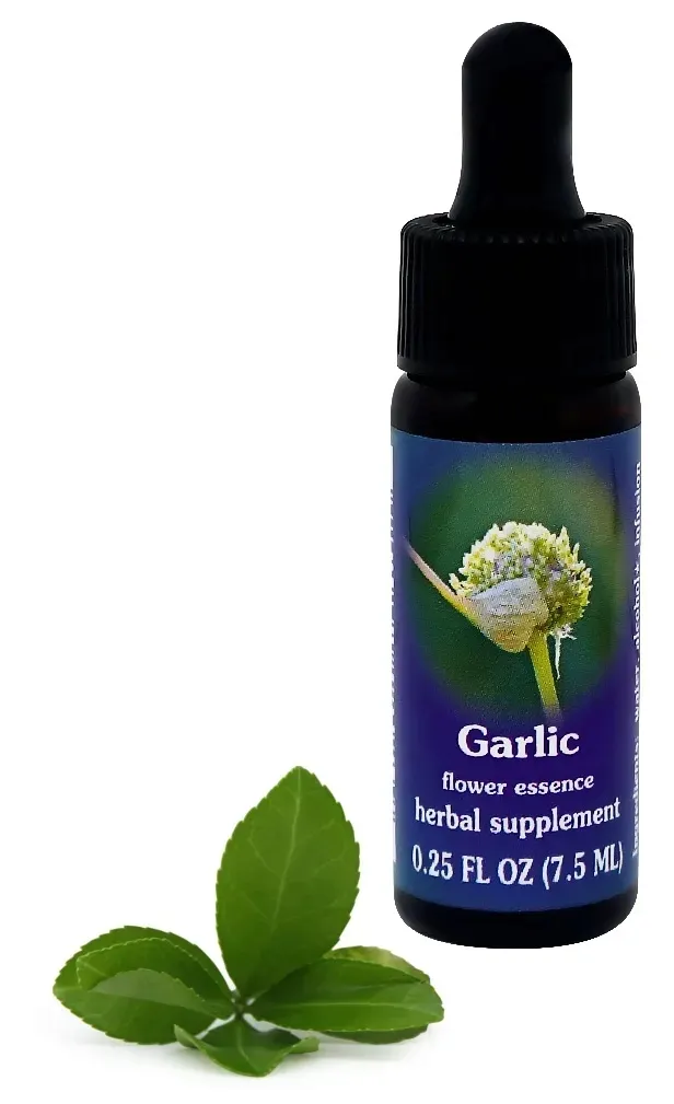 fes-garlic-75-ml-krople-stan-nowy
