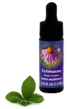 fes-echinacea-75-ml-krople