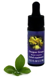 fes-oregon-grape-75-ml-krople
