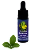 fes-evening-primrose-75-ml-krople