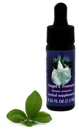fes-angel-s-trumpet-75-ml-krople