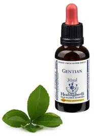 esencja-dr-bacha-12-gentian-goryczka-gorzkawa30ml