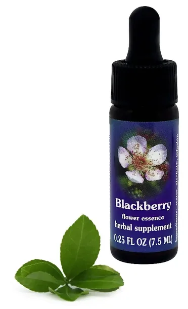 fes-blackberry-75-ml-krople