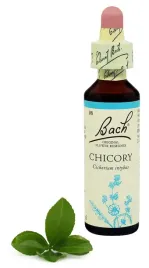 8-chicory-cykoria-podroznik-20-ml-nelson-bach