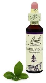34-water-violet-okreznica-bag-20-ml-nelson-bach