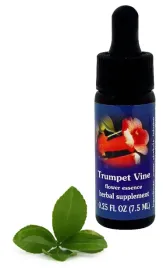 fes-trumpet-vine-75-ml-krople